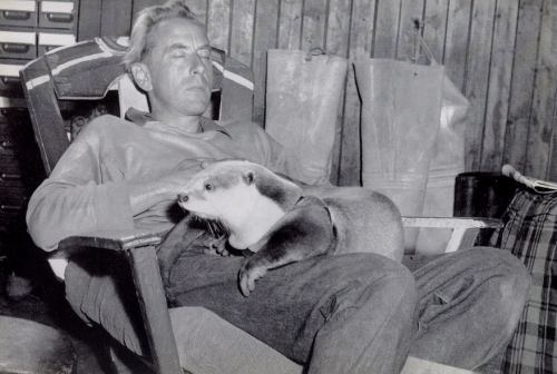 Gavin Maxwell con Edal